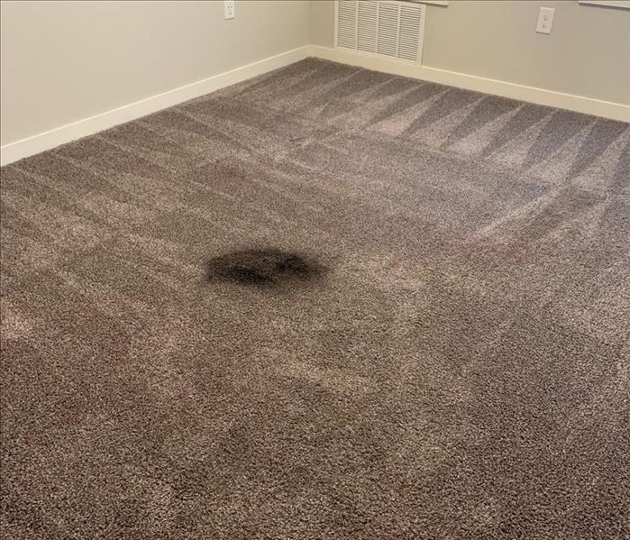 Light brown carpet with a dark black stain 