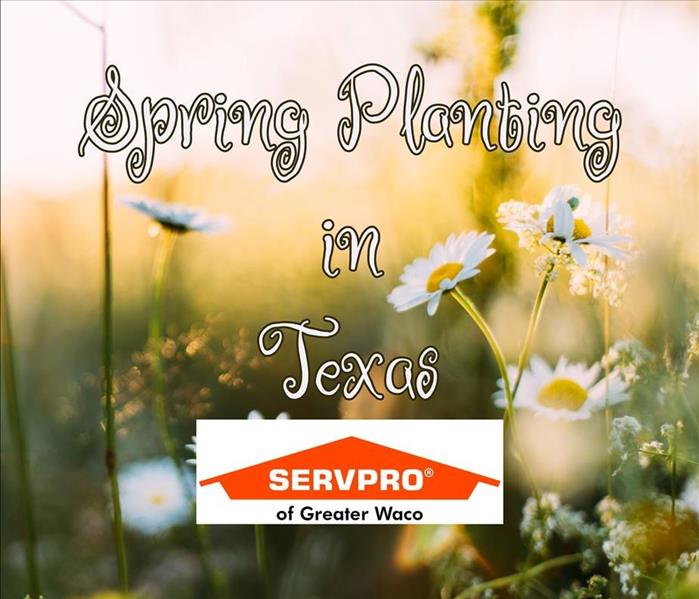 Flowers with the blog title and SERVPRO of Greater Waco logo