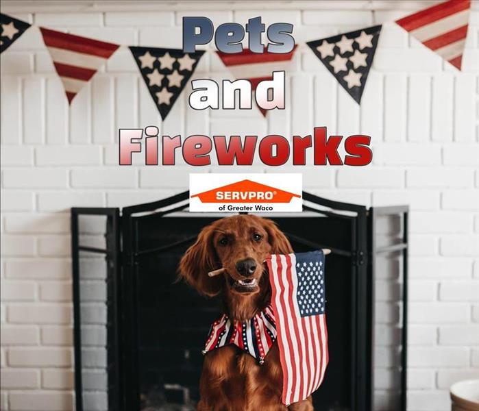 A dog in front of a fire place with red, white and blue decorations